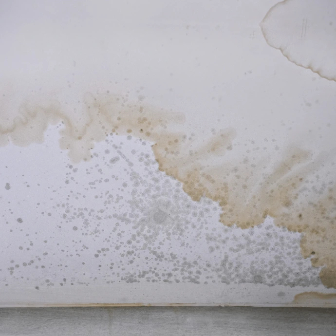 Plaster Sealer &amp; Render Sealer