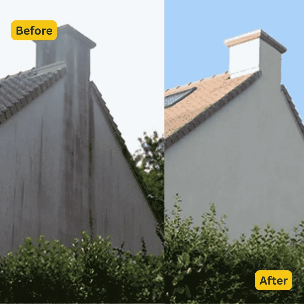 Anti M 24 before and after 3.webp