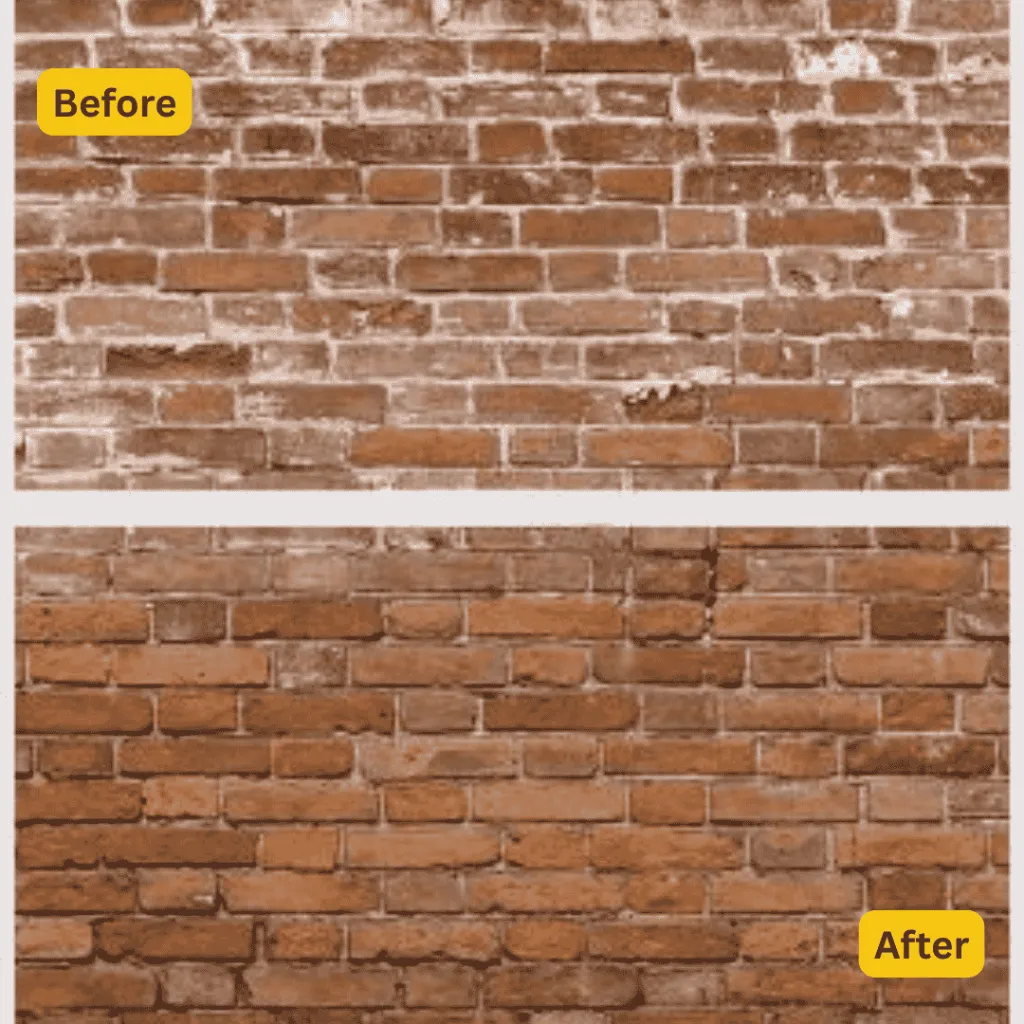 Guard Remover Eco Efflorescence & Cement – Safe Concrete Cleaner