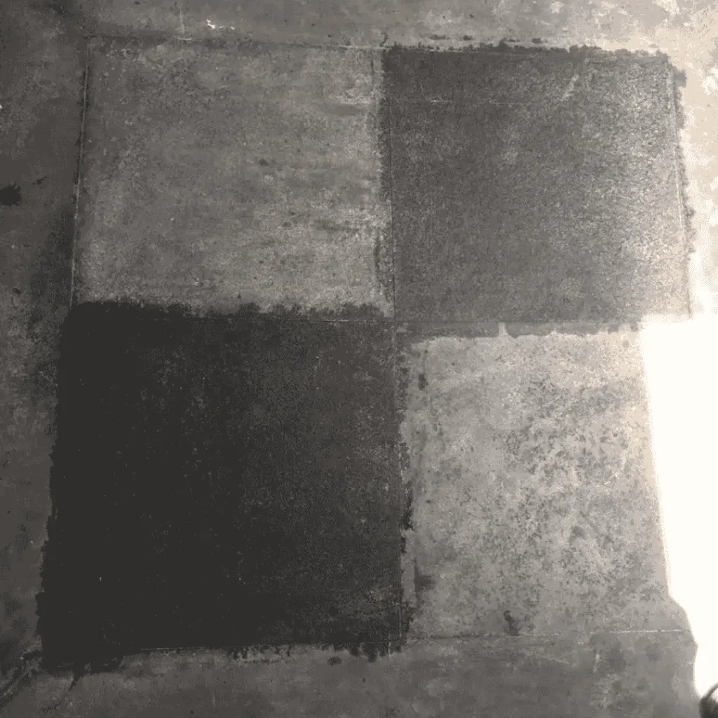 Guard Remover Eco Efflorescence & Cement – Safe Concrete Cleaner