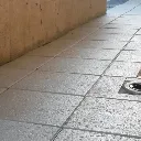 Pro Seal 896 Concrete Sealer