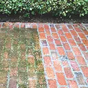 Guard Wash (6).webp